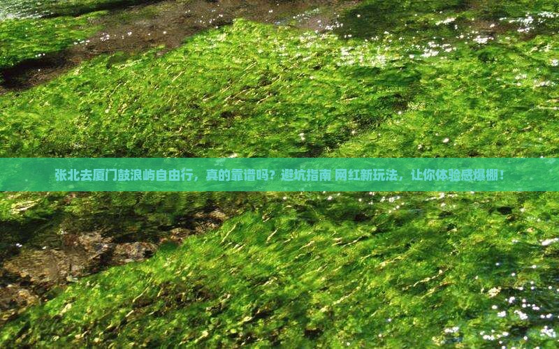 张北去厦门鼓浪屿自由行