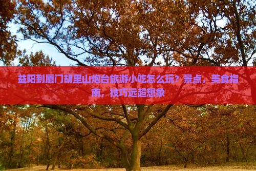 益阳到厦门胡里山炮台旅游小吃