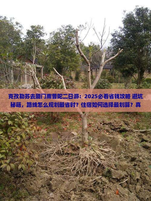 克孜勒苏去厦门南普陀二日游