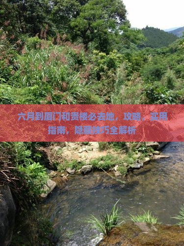 六月到厦门和贵楼必去地