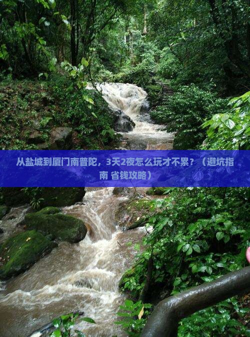 盐城到厦门南普陀哪里玩