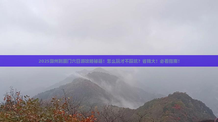 滁州到厦门六日游