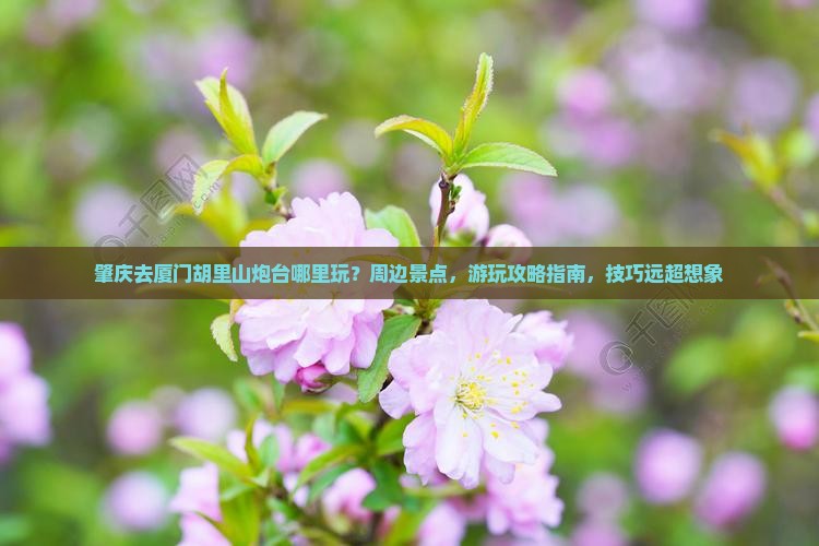 肇庆去厦门胡里山炮台哪里玩