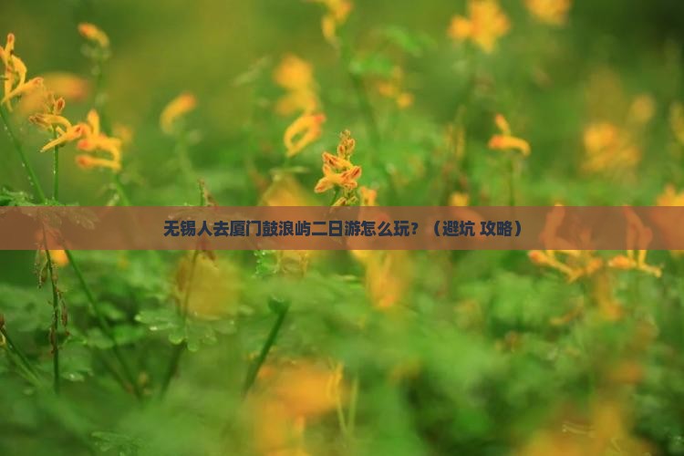无锡去厦门鼓浪屿二日游