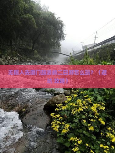 无锡去厦门鼓浪屿二日游