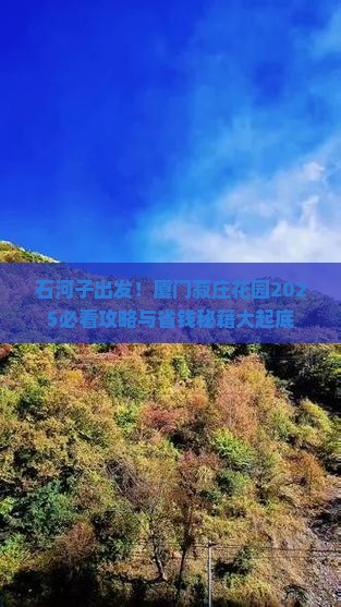 石河子到厦门菽庄花园攻略