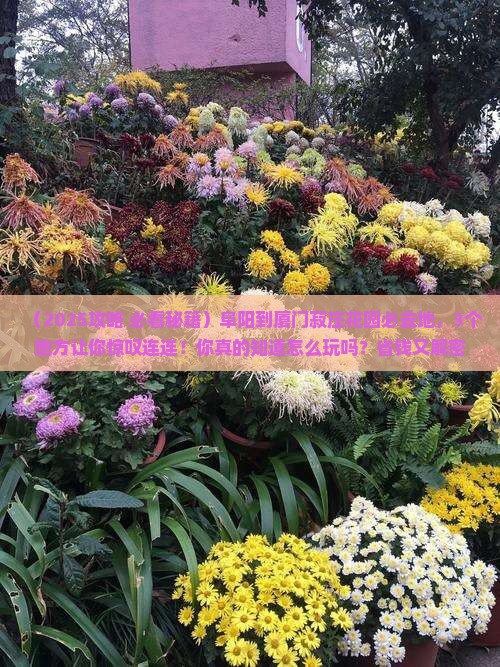 阜阳到厦门菽庄花园必去地