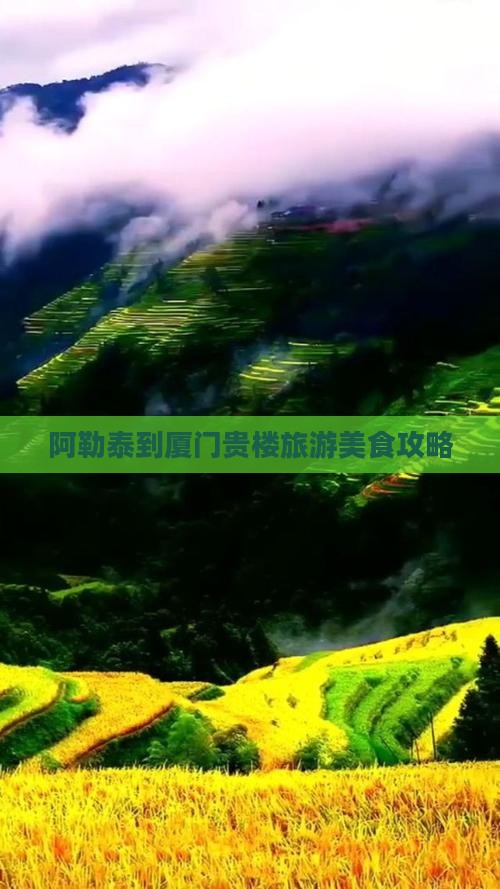 阿泰勒去厦门和贵楼旅游小吃