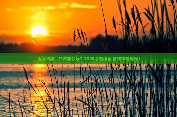 玉溪到厦门旅游