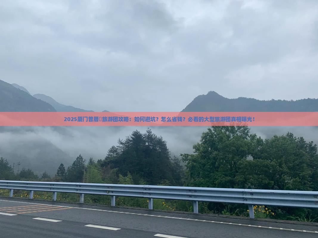 四月到厦门曾厝埯大型旅游团