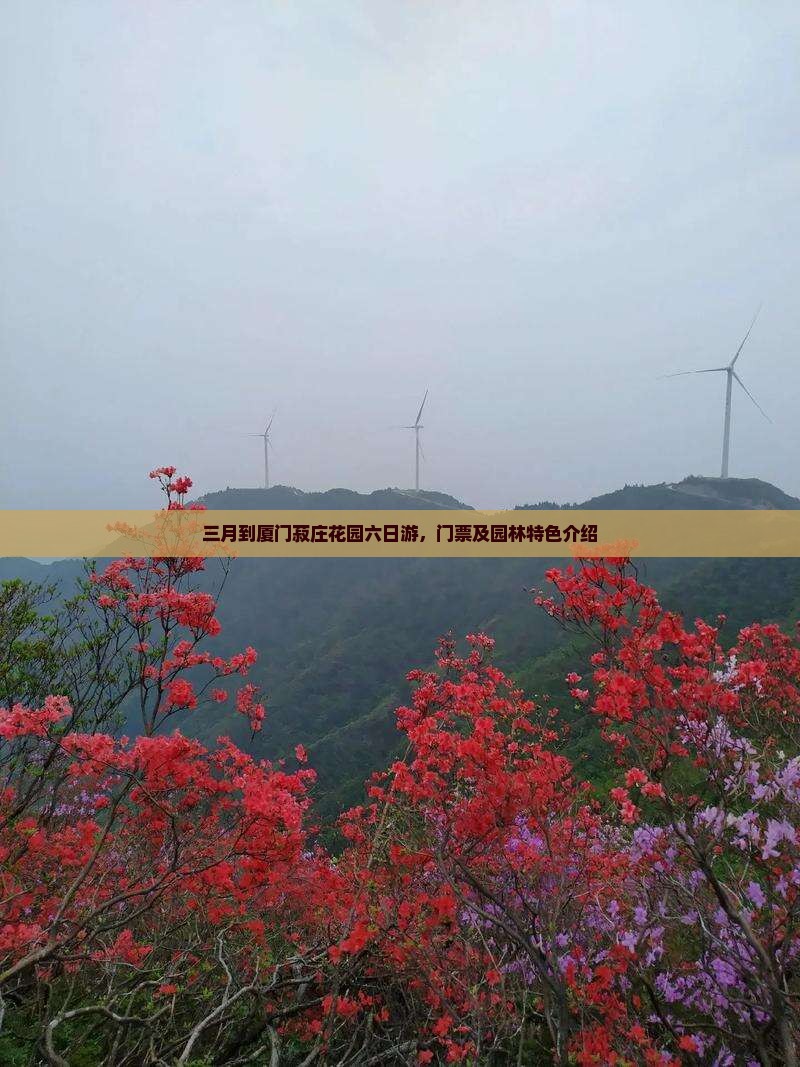 三月到厦门菽庄花园六日游