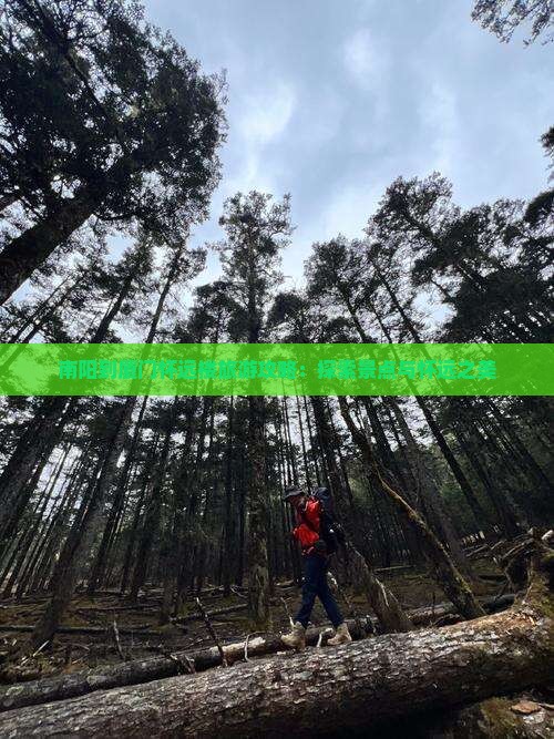 南阳到厦门怀远楼旅游