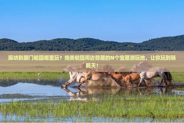 廊坊到厦门毓园哪里玩