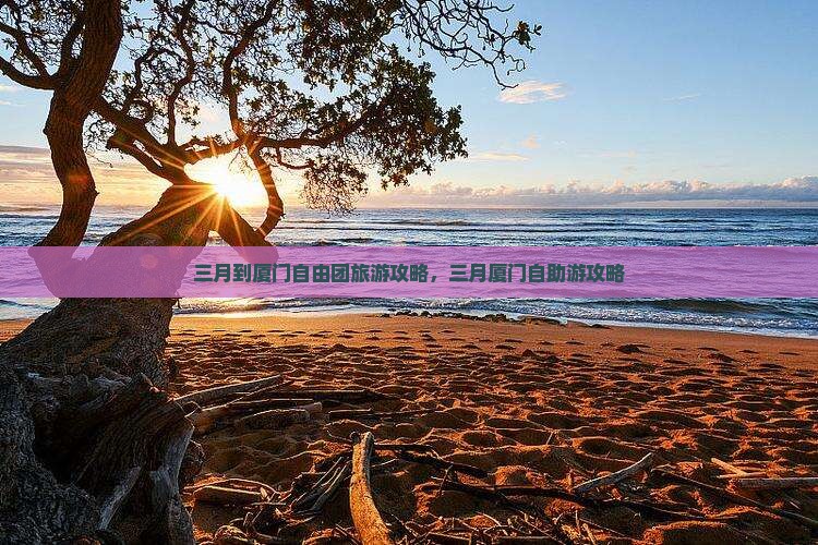 三月到厦门自由团