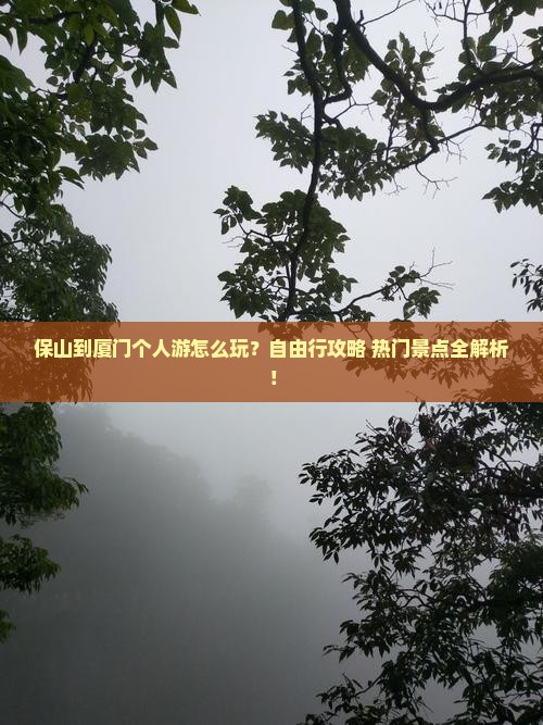 保山到厦门个人游