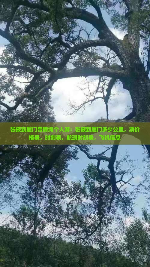 张掖到厦门曾厝埯个人游