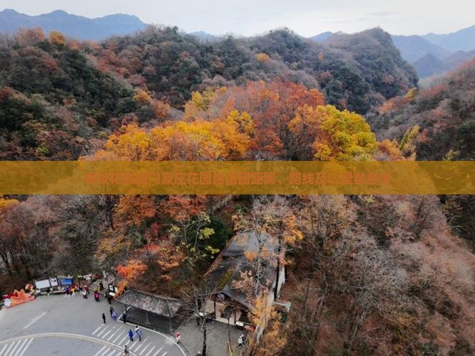 攀枝花到厦门菽庄花园自由团