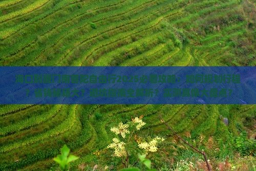 海口到厦门南普陀自由行