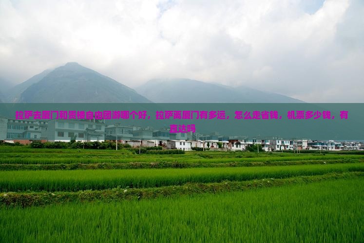 拉萨去厦门和贵楼自由团