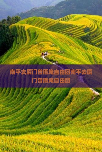 南平去厦门曾厝埯自由团