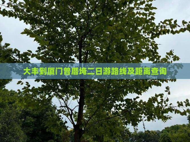 大丰到厦门曾厝埯二日游