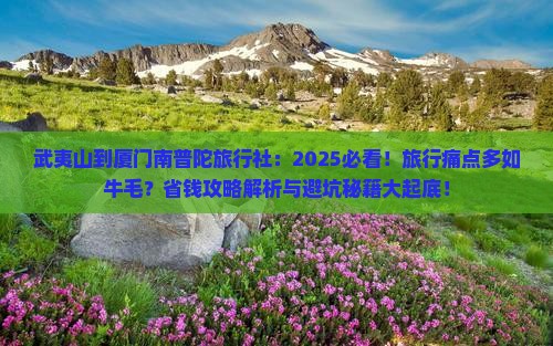 武夷山到厦门南普陀旅行社