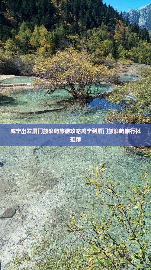 咸宁到厦门鼓浪屿旅行社