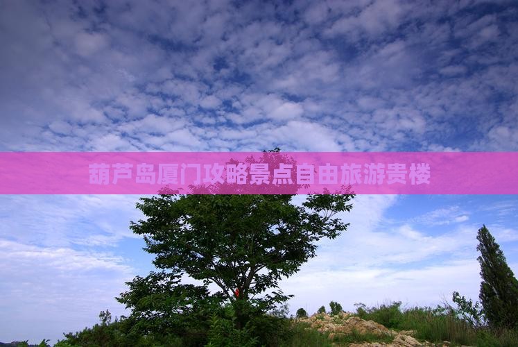 葫芦岛去厦门和贵楼自由团