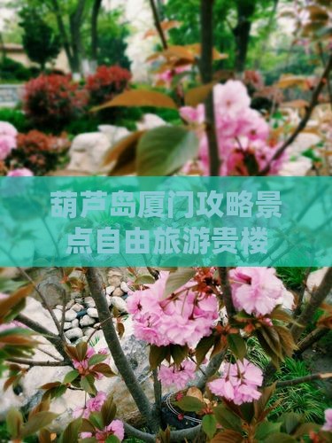 葫芦岛去厦门和贵楼自由团