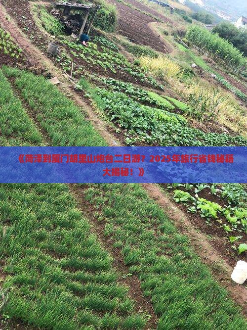 菏泽到厦门胡里山炮台二日游 菏泽到厦门胡里山炮台二日游