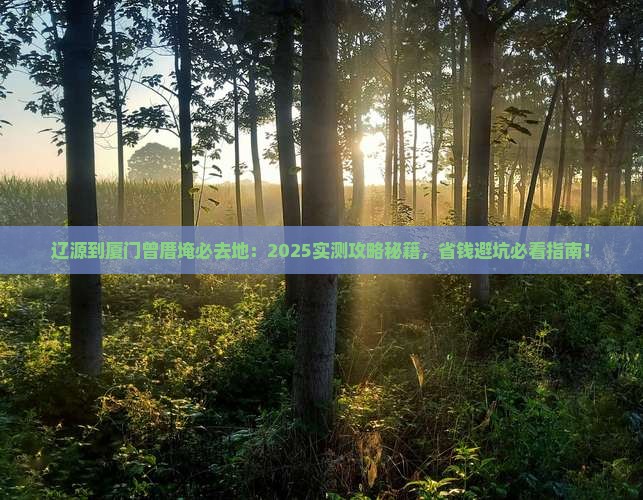 辽源到厦门曾厝埯必去地