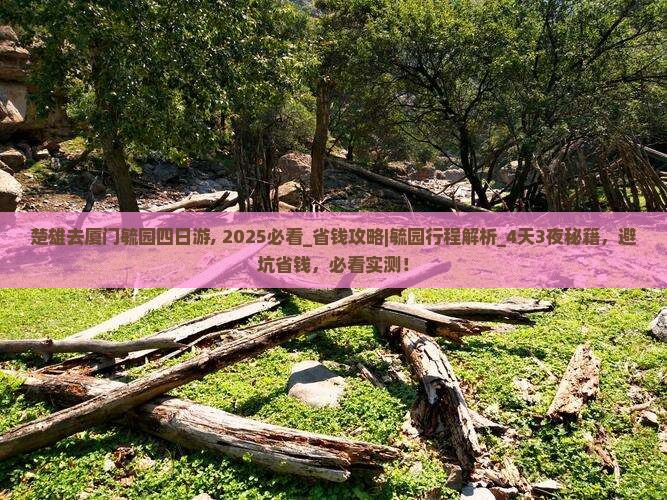 楚雄去厦门毓园四日游
