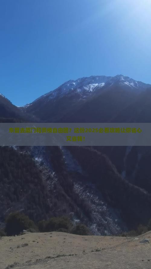 东营去厦门和贵楼自由团