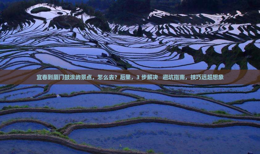 宜春到厦门鼓浪屿景点