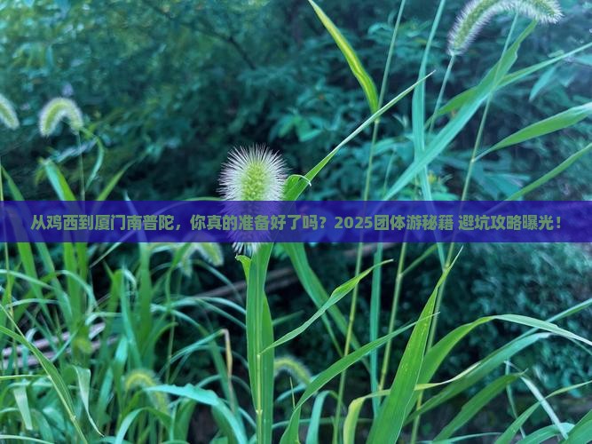 鸡西去厦门南普陀团体旅游