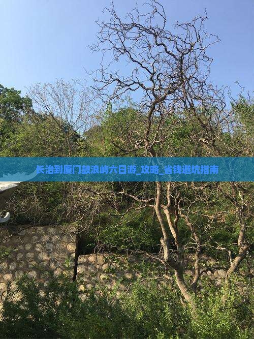 长治到厦门鼓浪屿六日游