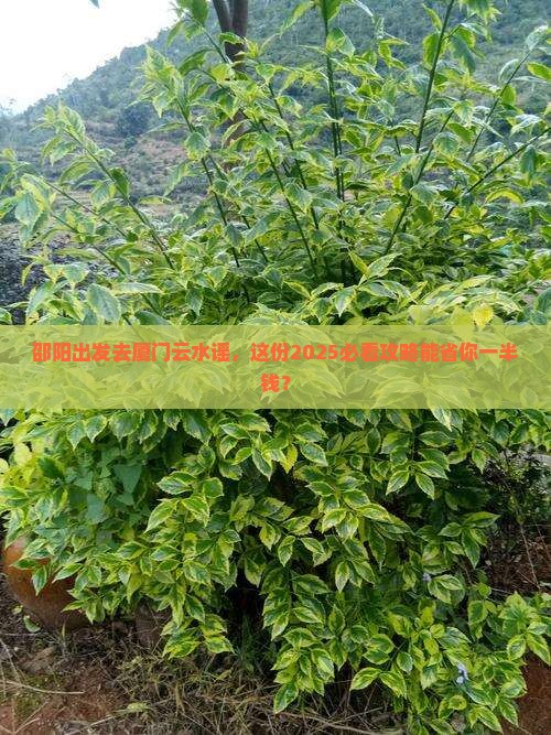 邵阳去厦门云水谣个人游