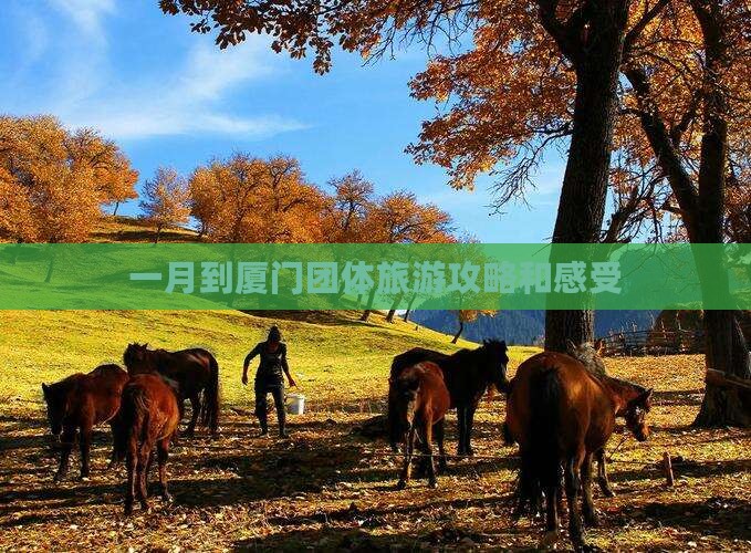 一月到厦门团体旅游