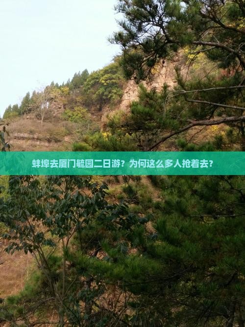 蚌埠去厦门毓园二日游