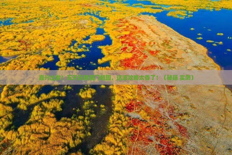 嘉兴到厦门毓园五日游