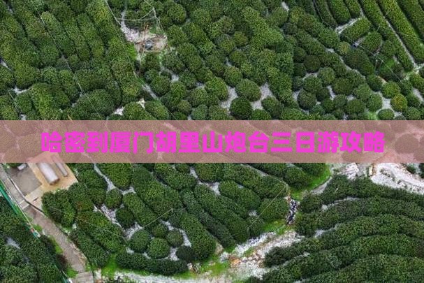 哈密到厦门胡里山炮台三日游