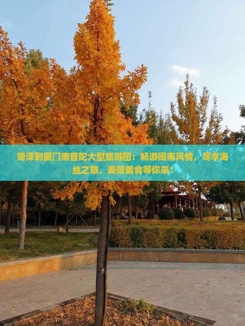 菏泽到厦门南普陀大型旅游团