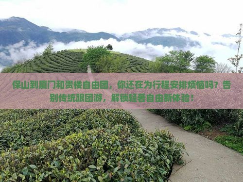 保山到厦门和贵楼自由团