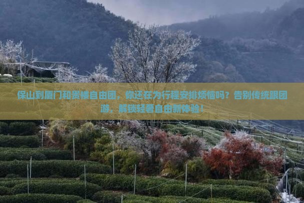 保山到厦门和贵楼自由团