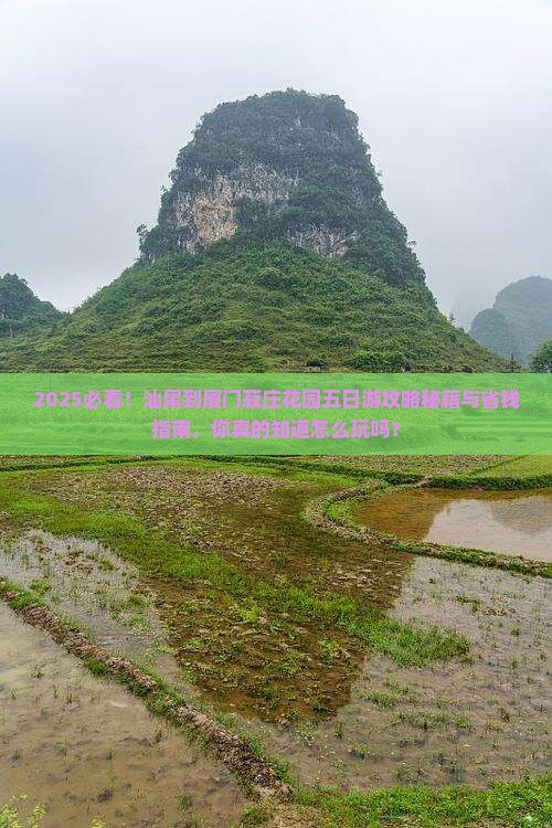 汕尾到厦门菽庄花园五日游 汕尾到厦门菽庄花园五日游