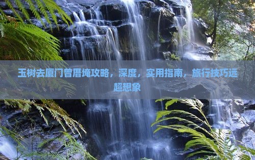 玉树去厦门曾厝埯攻略