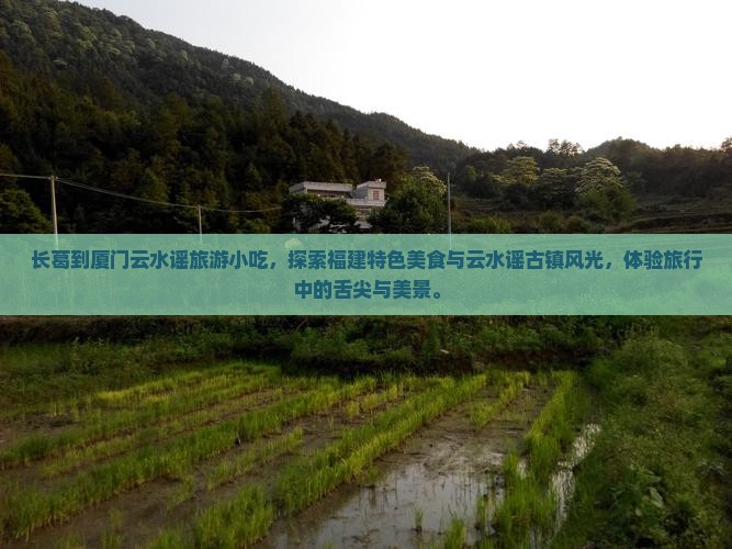 长葛到厦门云水谣旅游小吃