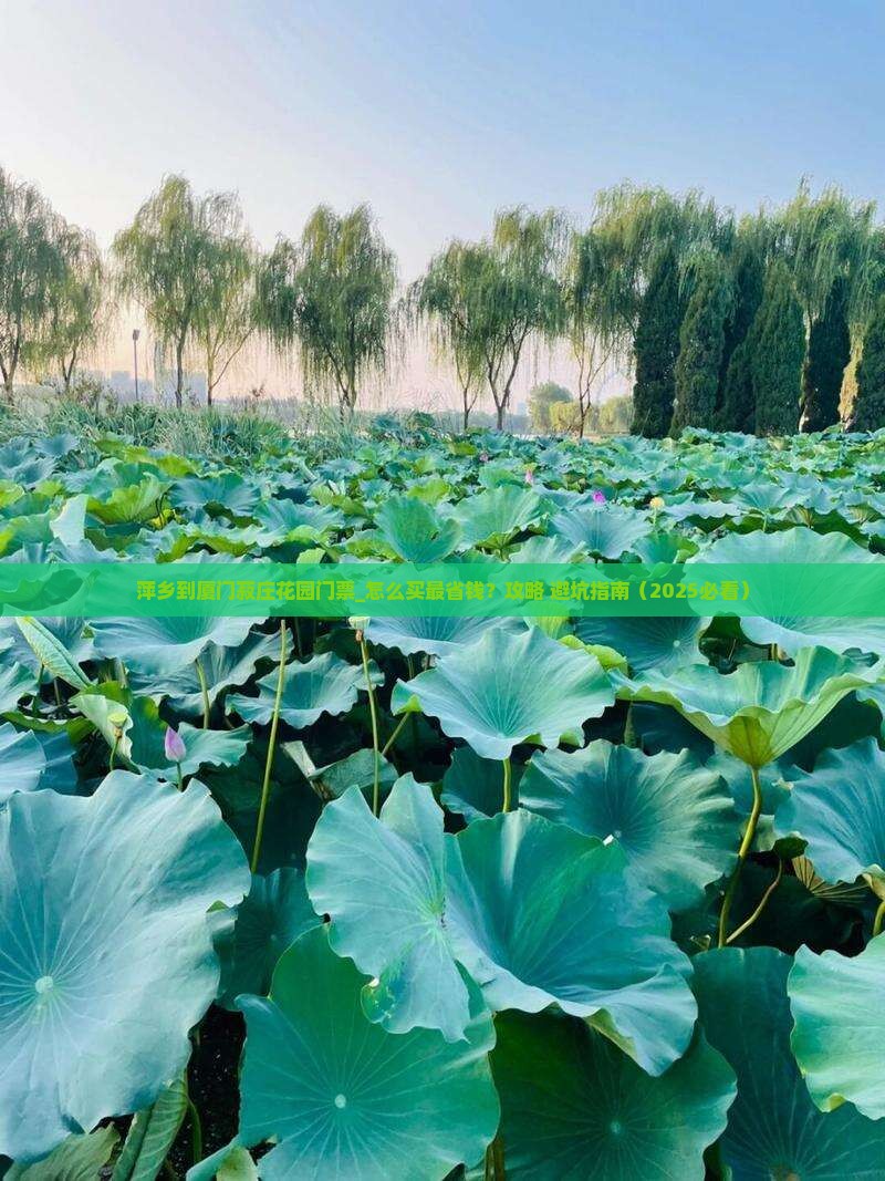 萍乡到厦门菽庄花园门票