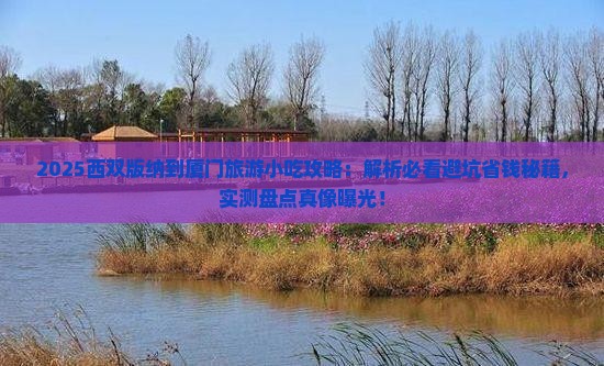 西双版纳到厦门旅游小吃