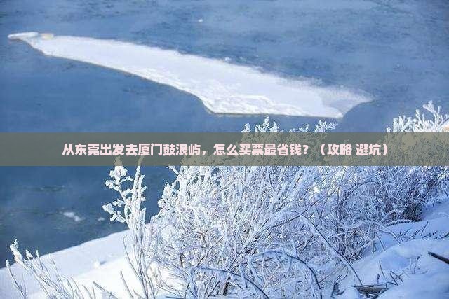 东莞去厦门鼓浪屿门票